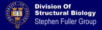 Division of Structural Biology