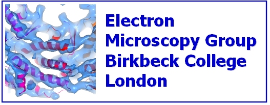 Electron Microscopy and Image Processing Group