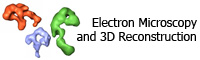 Electron Microscopy and 3D Reconstruction